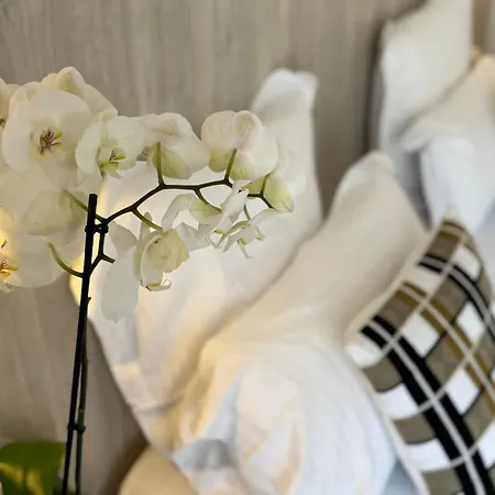 Provencal Hotel 3*